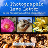 A Photographic Love Letter to the Flora and Fauna of the Mojave Desert - Paperback
