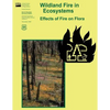 Wildland Fire in Ecosystems: Effects of Fire on Flora - Paperback
