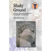 Shaky Ground: Context, Connoisseurship and the History of Roman Art - Paperback
