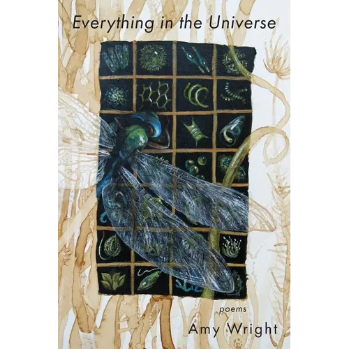 Everything in the Universe - Paperback