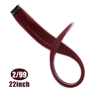 Buy 2i99 Synthetic Rainbow Highlighted Hair