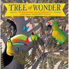 Tree of Wonder: The Many Marvelous Lives of a Rainforest Tree - Paperback