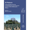 El Palacio: Historiography and New Perspectives on a Pre-Tarascan City of Northern Michoacan, Mexico - Paperback
