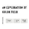 An Exploration In Color Field - Paperback