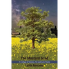 The Mustard Seed: A Collage of Science, Art and Love Poems - Paperback