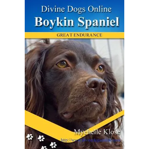 Boykin Spaniels: Divine Dogs Online - Paperback