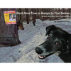 Black Bear Goes to Bangor to Find Beaver: Another Black Bear Sled Dog Adventure - Paperback