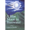 A Blue Moon in Poorwater - Paperback