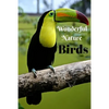 Wonderful Nature Birds: Picture book gift for seniors with Dementia or patients with Alzheimer's. 40 full color photographs of birds, with nam - Paperback