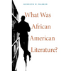 What Was African American Literature? - Paperback