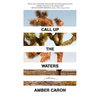 Call Up the Waters: Stories - Paperback