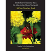 Litplan Teacher Pack: The Effect of Gamma Rays on Man in the Moon Marigolds - Paperback