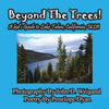 Beyond The Trees! A Kid's Guide To Lake Tahoe, USA - Paperback