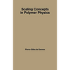 Scaling Concepts in Polymer Physics - Hardcover