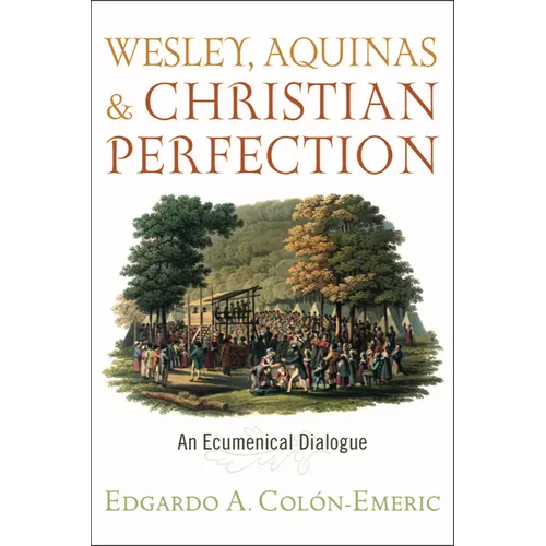 Wesley, Aquinas, and Christian Perfection: An Ecumenical Dialogue - Paperback