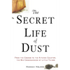 The Secret Life of Dust: From the Cosmos to the Kitchen Counter, the Big Consequences of Little Things - Paperback