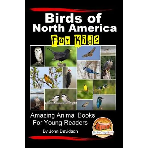 Birds of North America For Kids - Amazing Animal Books for Young Readers - Paperback