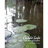 Caddo Lake: water, light and atmosphere - Paperback