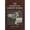 The Secrets of Hebrew Words - Paperback