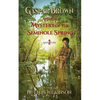 Gaspar Brown and the Mystery of the Seminole Spring - Paperback