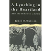 A Lynching in the Heartland: Race and Memory in America - Paperback