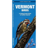 Vermont Birds: An Introduction to Familiar Species