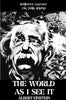 The WORLD AS I SEE IT - Paperback