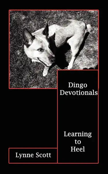 Dingo Devotionals: Learning to Heel - Paperback