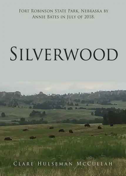 Silverwood - Paperback