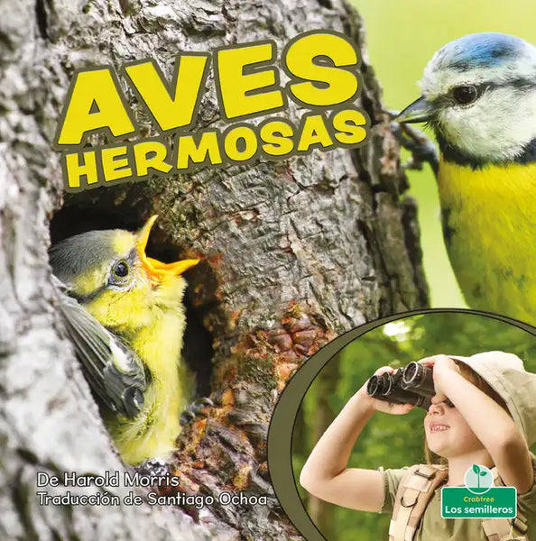 Aves Hermosas (Beautiful Birds) - Paperback