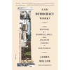 Can Democracy Work?: A Short History of a Radical Idea, from Ancient Athens to Our World - Paperback