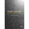 Islamic Theology and the Problem of Evil - Hardcover