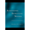 Assessing Spiritual Needs - Paperback