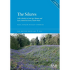 The Silures: Celtic identity in Iron Age, Roman and Early Medieval Gwent, South Wales - Paperback