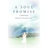 A Soul Promise: A Spiritual Quest - Paperback