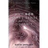 Why God Makes Sense in a World That Doesn't: The Beauty of Christian Theism - Paperback