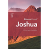 Journey Through Joshua: 30 Biblical Insights by David Sanford - Paperback