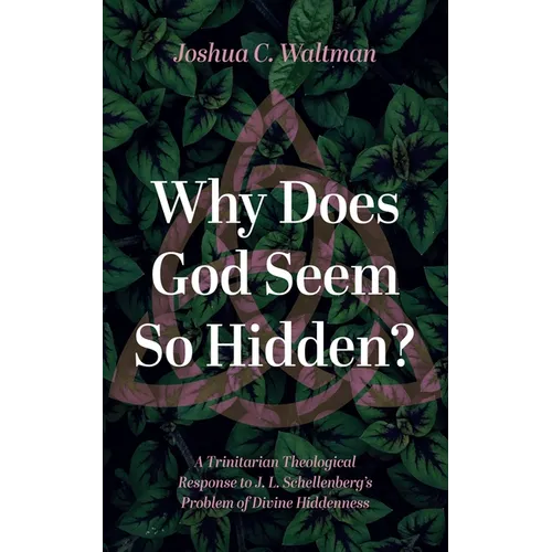 Why Does God Seem So Hidden?: A Trinitarian Theological Response to J. L. Schellenberg's Problem of Divine Hiddenness - Paperback