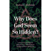 Why Does God Seem So Hidden?: A Trinitarian Theological Response to J. L. Schellenberg's Problem of Divine Hiddenness - Paperback