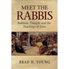 Meet the Rabbis: Rabbinic Thought and the Teachings of Jesus - Paperback