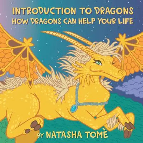 Introduction to Dragons: How Dragons Can Help Your Life - Paperback