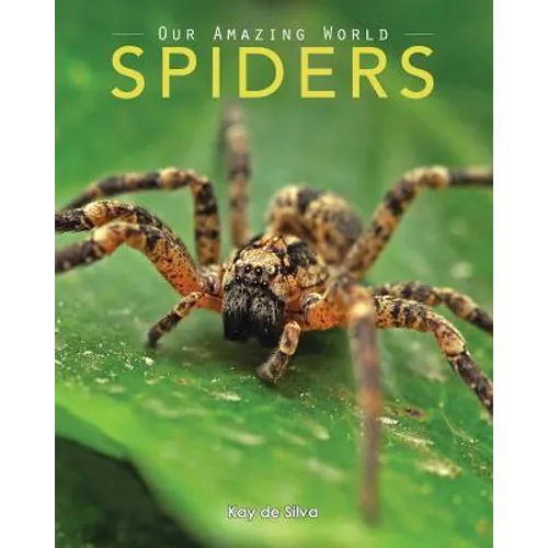 Spiders: Amazing Pictures & Fun Facts on Animals in Nature - Paperback