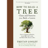 How to Read a Tree: Clues and Patterns from Bark to Leaves - Hardcover