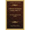 A History Of Jackson County, Ohio V1: The Scioto Salt Springs (1900) - Hardcover