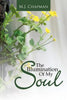 The Illumination of My Soul - Paperback