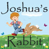 Joshua's Rabbit - Paperback
