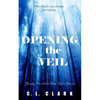 Opening the Veil - Paperback