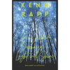 In a Land of Darkness, a Light Will Shine: Balladry & Afflatus - Paperback