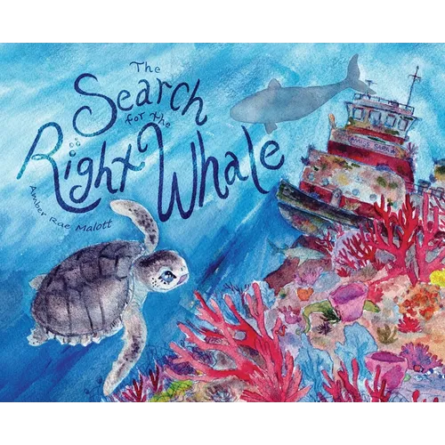 The Search for the Right Whale - Hardcover
