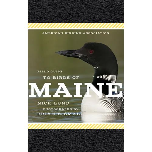 American Birding Association Field Guide to Birds of Maine - Paperback